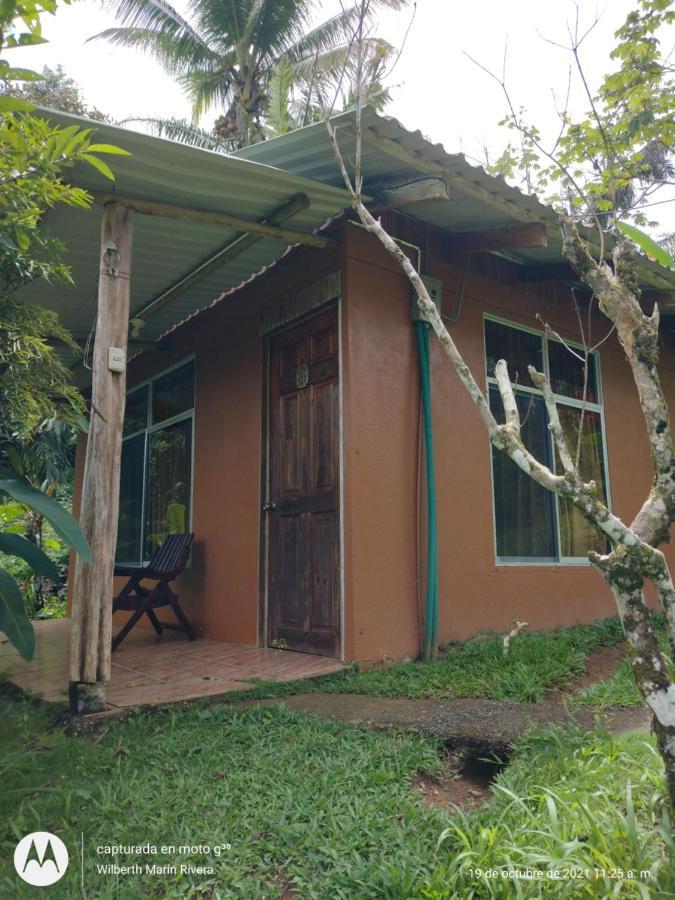 Hotel Mirador Osa Mogos Екстериор снимка