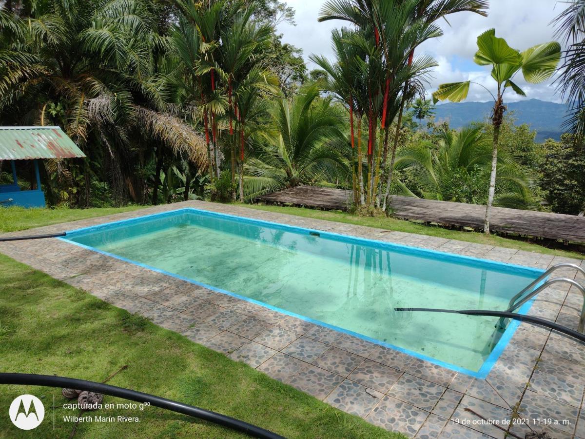 Hotel Mirador Osa Mogos Екстериор снимка